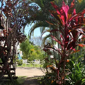 asylum-cairns-backpackers-hostel.queenslandhotels.net/